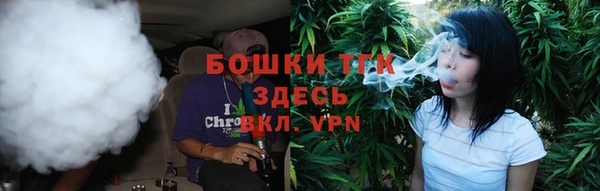 гашик Медногорск