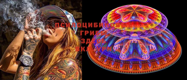 гашик Медногорск