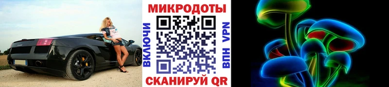 Псилоцибиновые грибы Psilocybe  цена   Владикавказ 